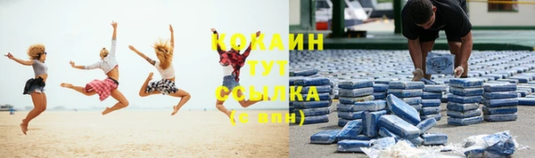 твердый Верхний Тагил