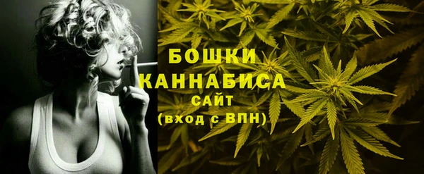 твердый Верхний Тагил